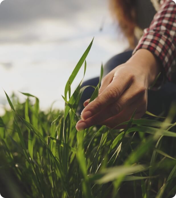 Men touches the grass image