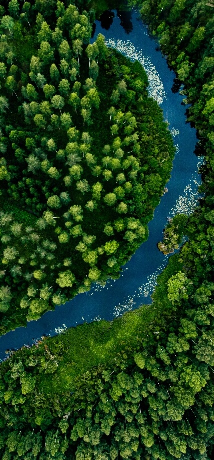 Road in forest birdeye view sm image