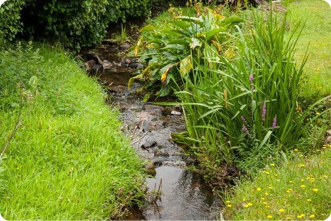 Water crossing the crowns image