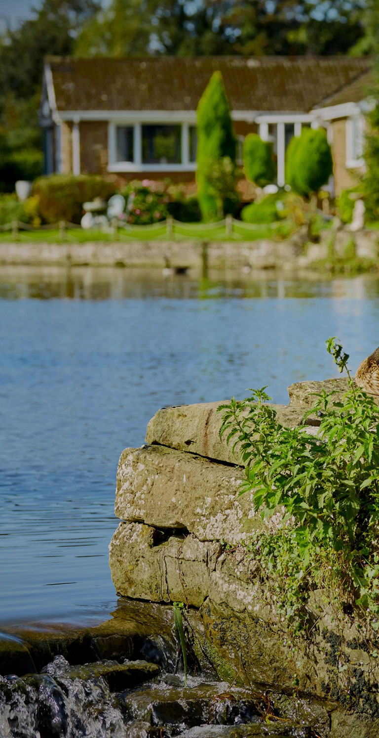 Water front banner sm