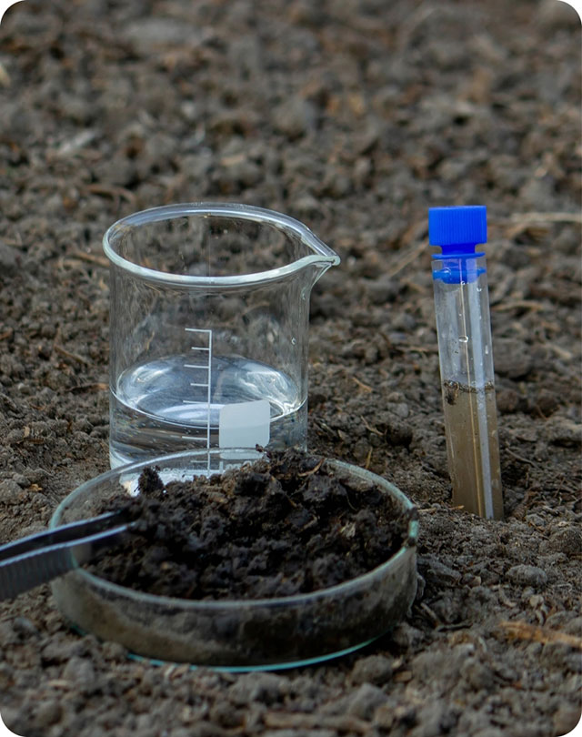 Beker test tube
