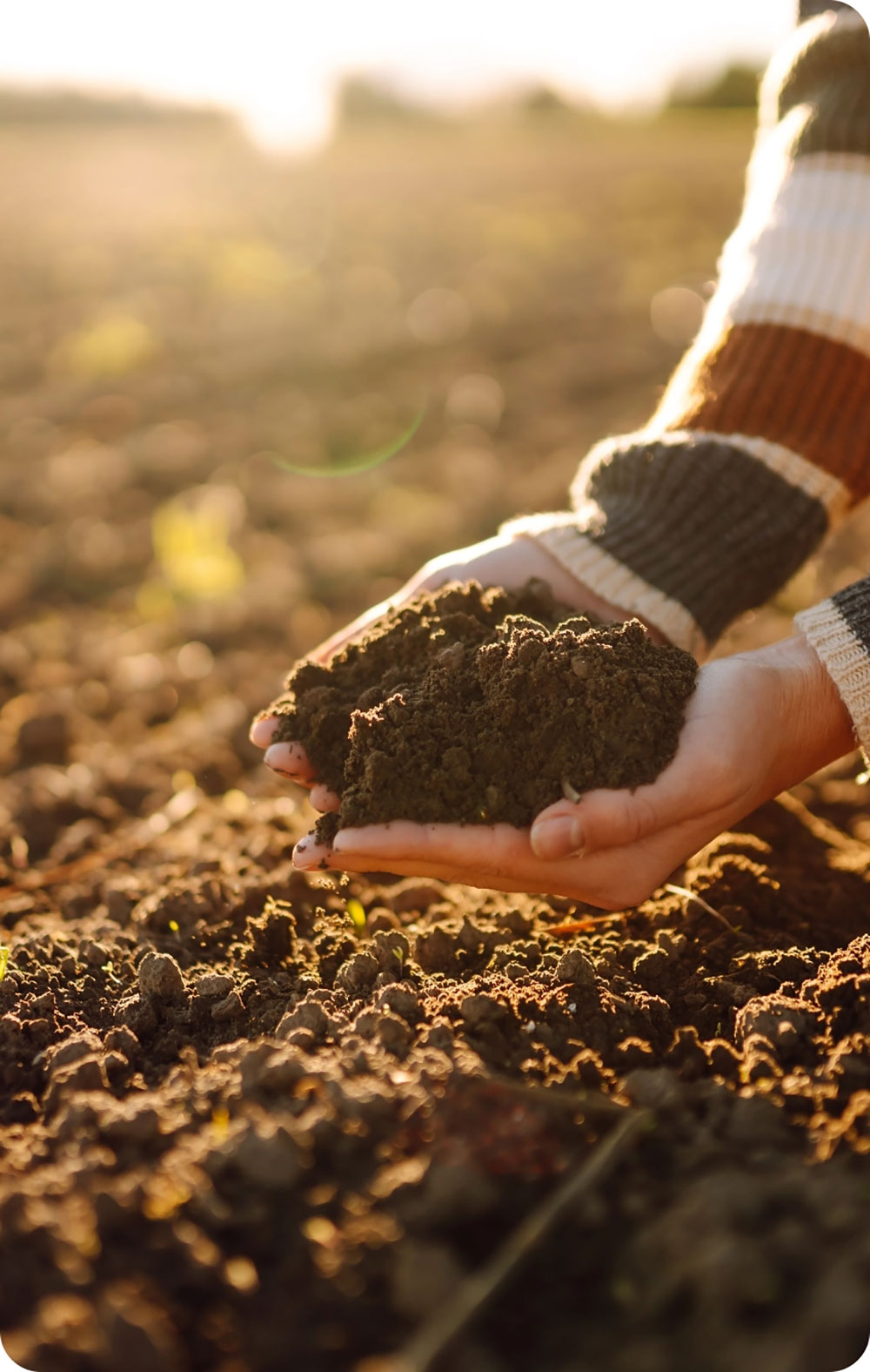 Checking soil