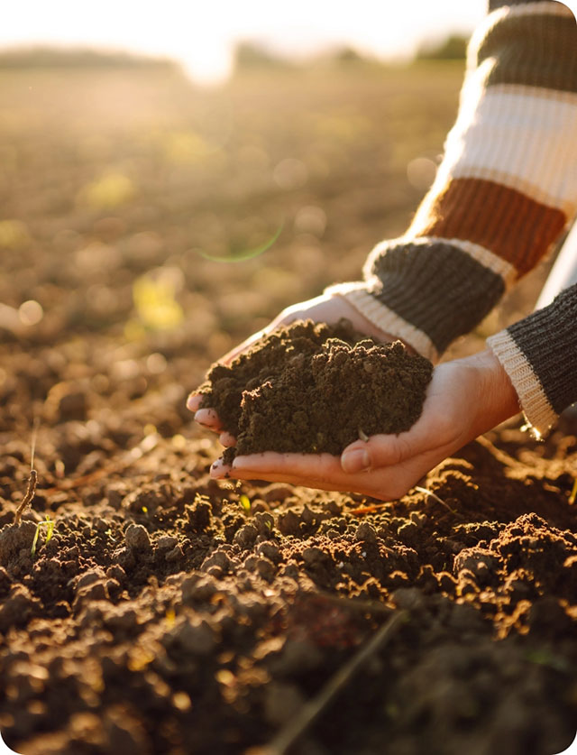 Lifting soil