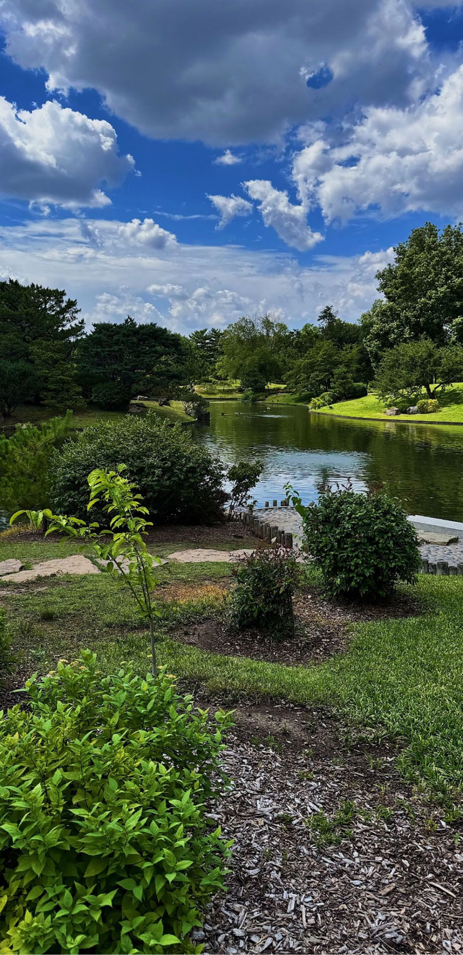 Water pond cta sm scaled