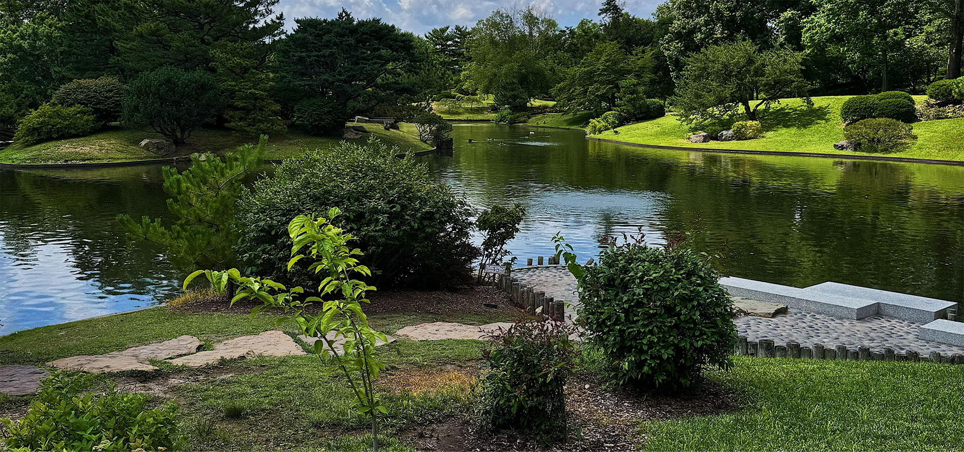 Water pond cta