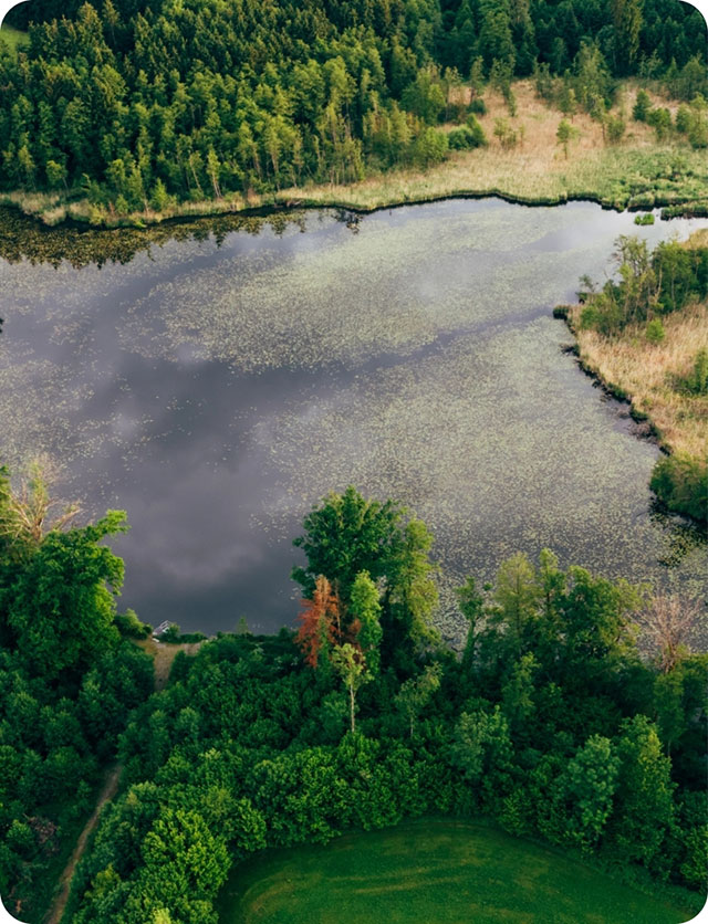 Water stream