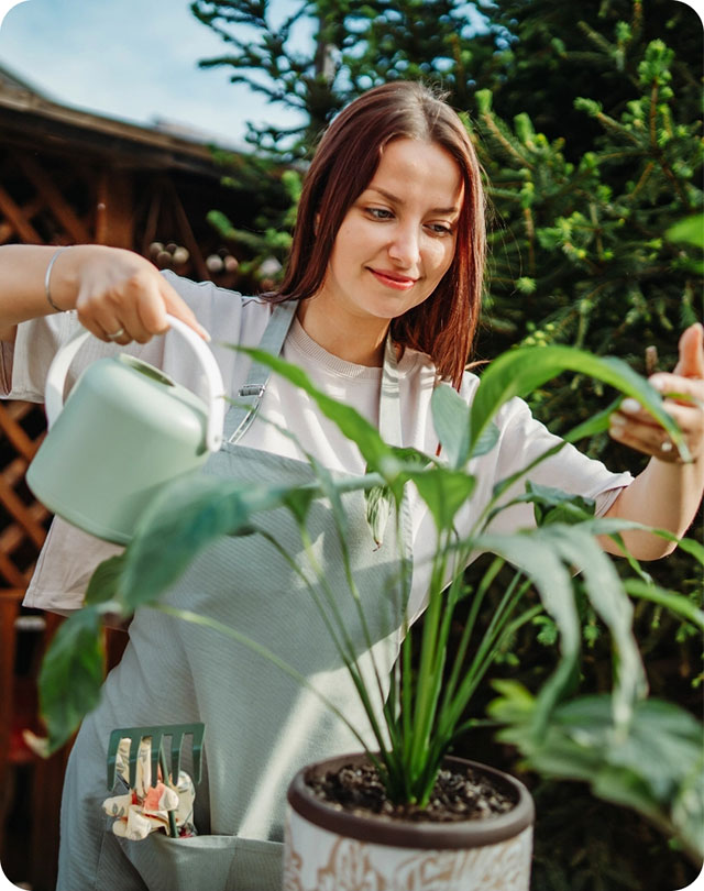 Watering plants